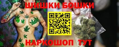 индика Тулун