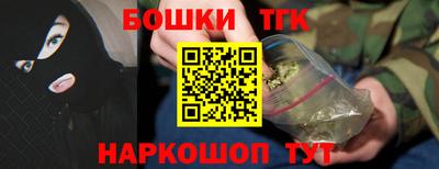 индика Тулун