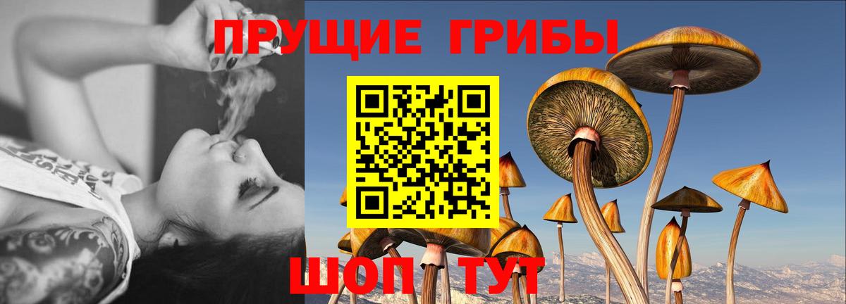 Псилоцибиновые грибы прущие грибы  Вход с VPN  Минусинск  Галлюциногенные грибы Magic Shrooms 